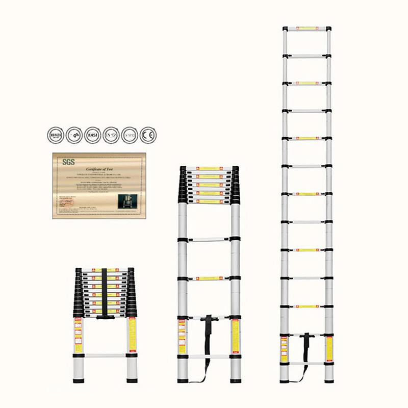 Telescopic Single Ladder